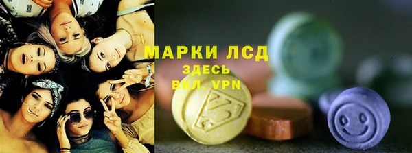 прущие грибы Волосово