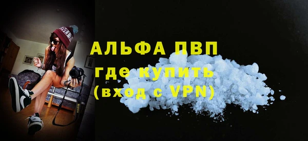 винт Вяземский