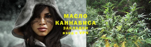 тгк Володарск