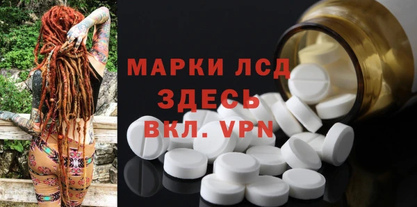 прущие грибы Волосово
