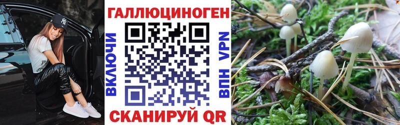 Галлюциногенные грибы Psilocybe Купить Луза